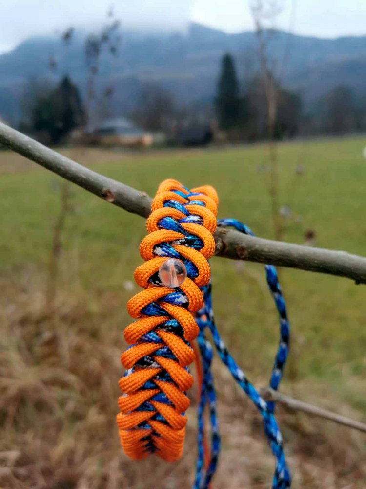 Kleiner Haudegen